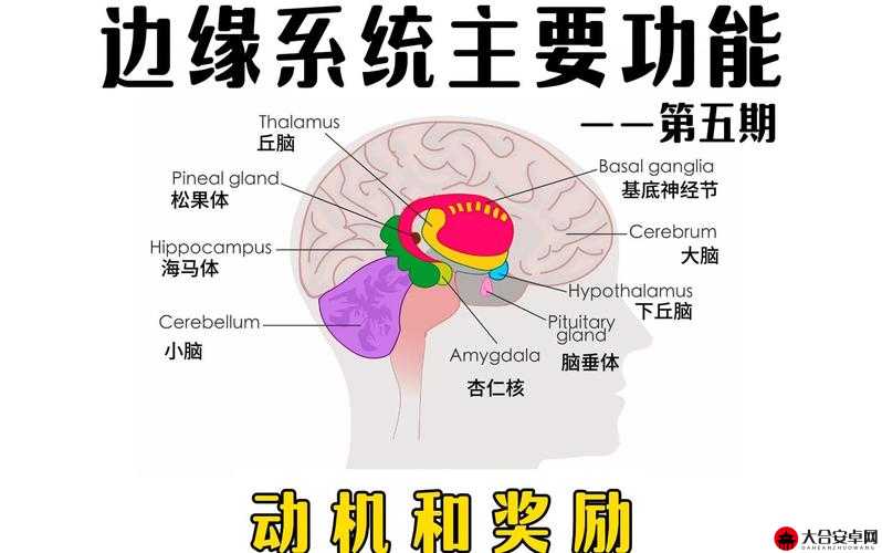 构建高效激励机制，探索基础系统中的奖励系统设计与实施策略